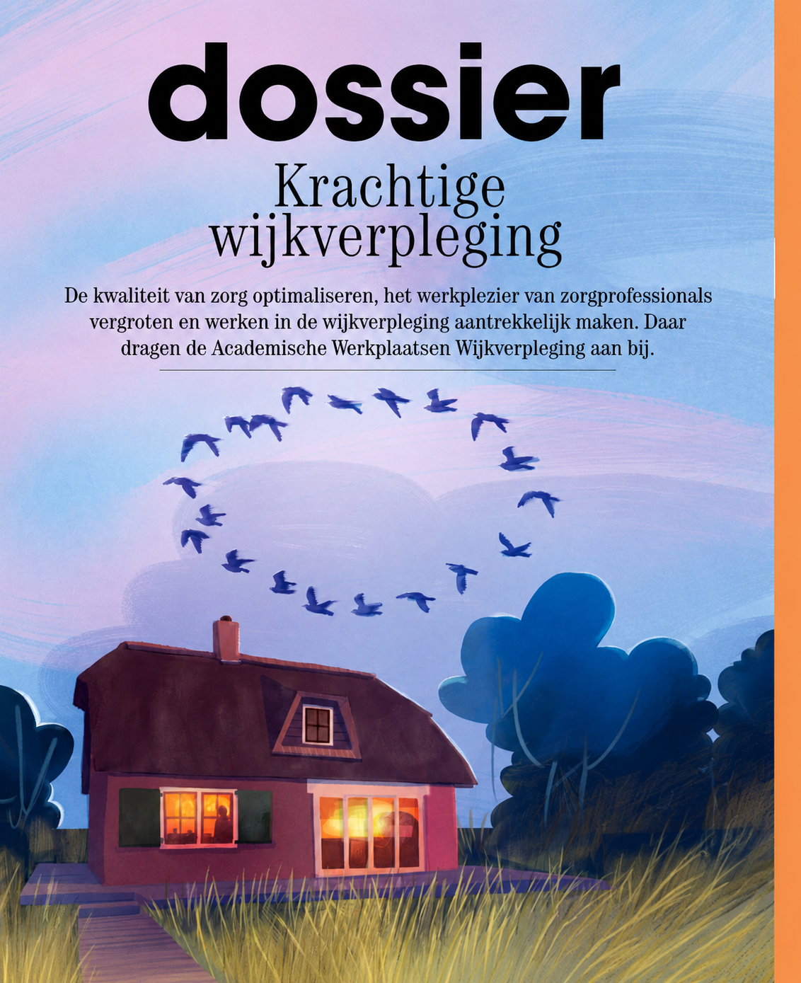 Samen bouwen aan de toekomst van wijkverpleging – dossier Krachtige wijkverpleging
